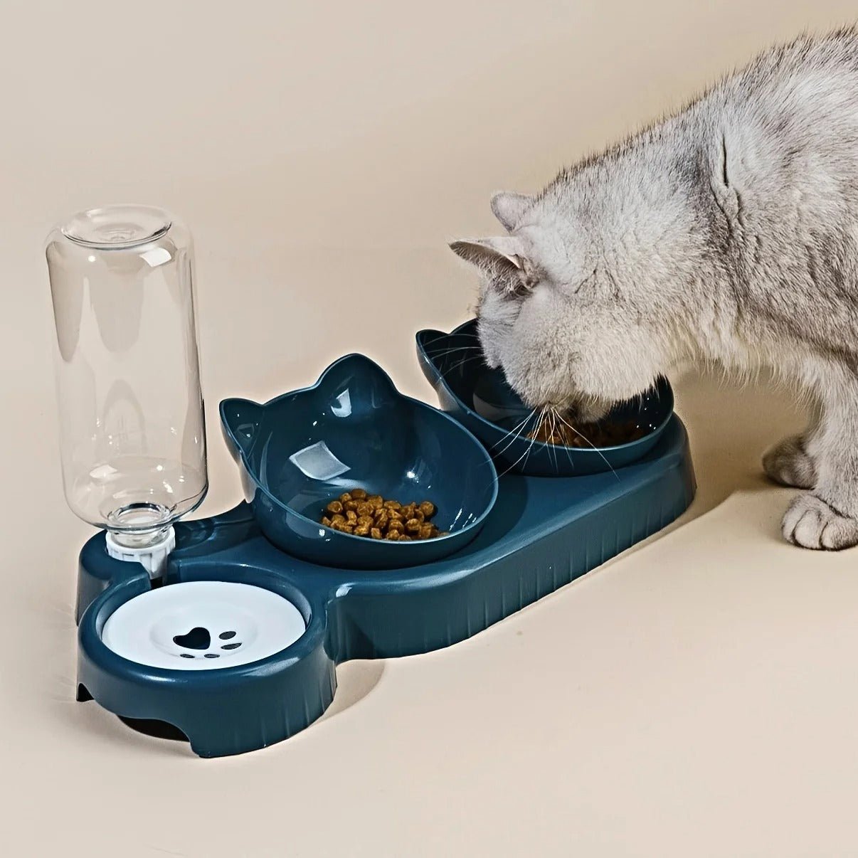 3-in-1 Tilted Cat Bowl Set with Water Feeder - image 7
