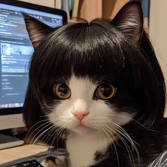 Pet Wig for Dogs Cats Halloween Costume Accessories – Curly Straight Hair DIY Trim Adjustable Wig