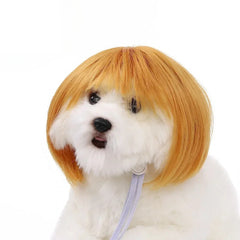 Pet Wig for Dogs Cats Halloween Costume Accessories – Curly Straight Hair DIY Trim Adjustable Wig