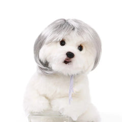 Pet Wig for Dogs Cats Halloween Costume Accessories – Curly Straight Hair DIY Trim Adjustable Wig